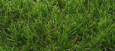 Premier artificial grass