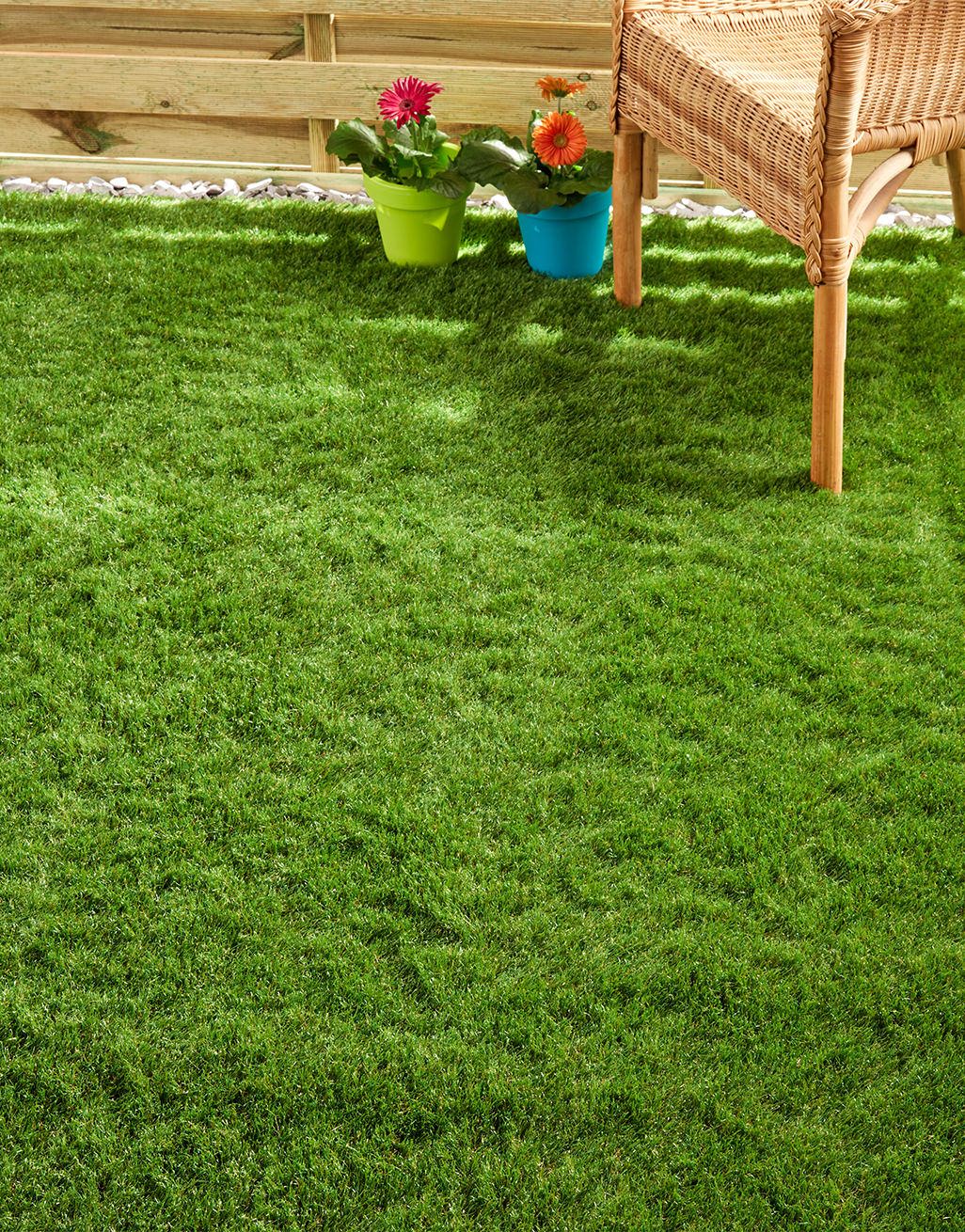 Cape Verde Artificial Grass