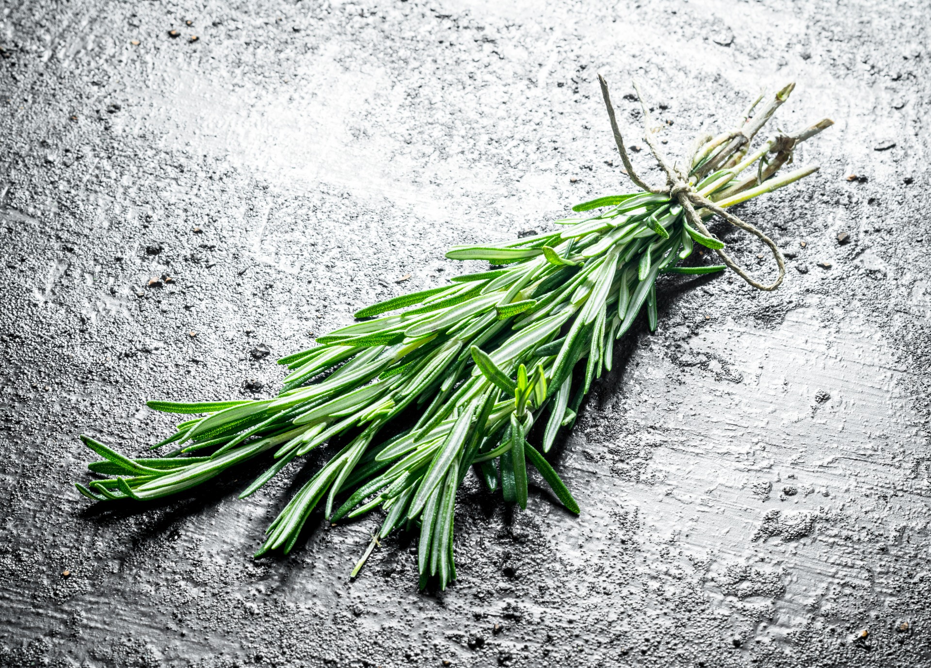 Rosemary Herbs