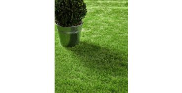 Lucerne Artificial Grass