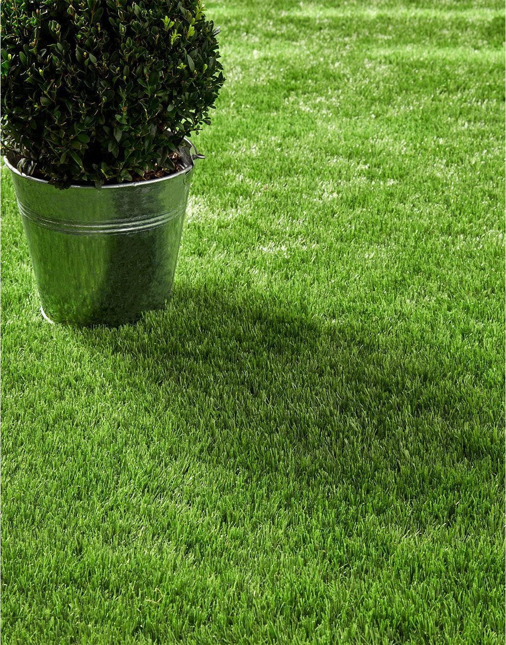 Soft grass outlet