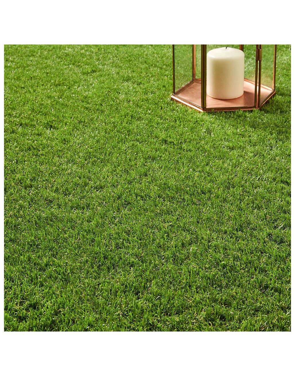 Real Garden Lawn Grass Rolls 48 sq Fresh High Quality Turf Metres 