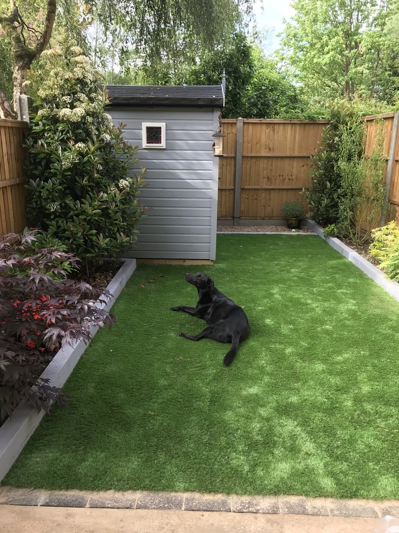 Dog Friendly Artificial Grass Garden