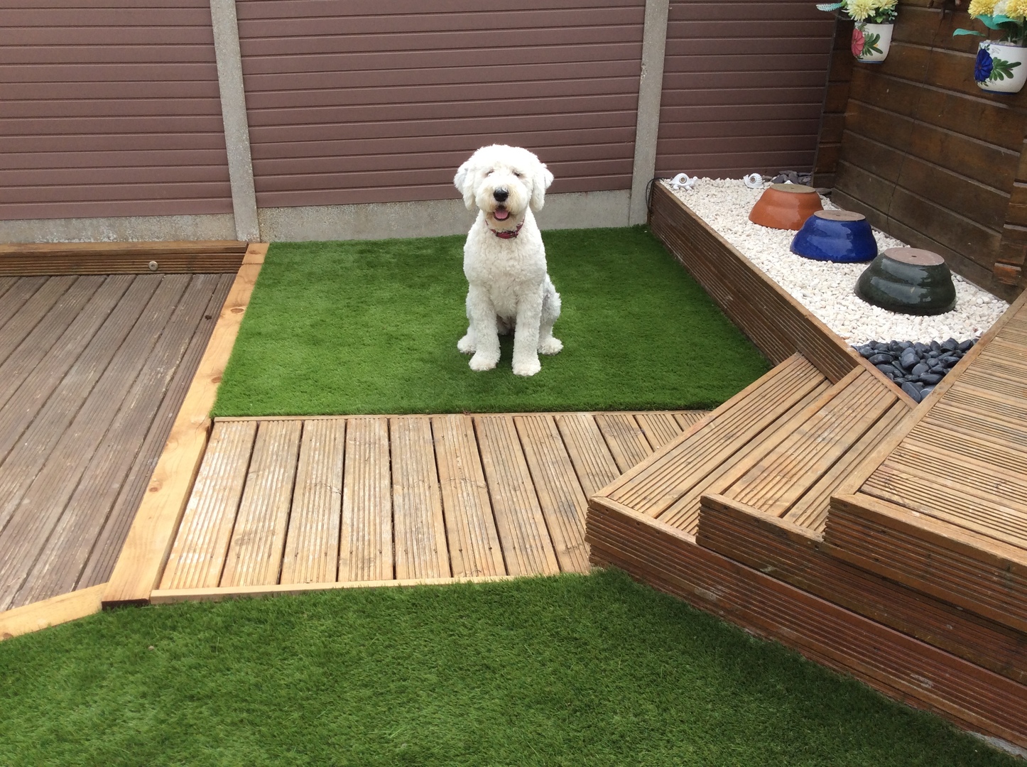Dog Friendly Artificial Grass