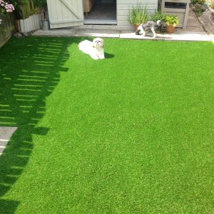 Artificial Grass by Grass Direct