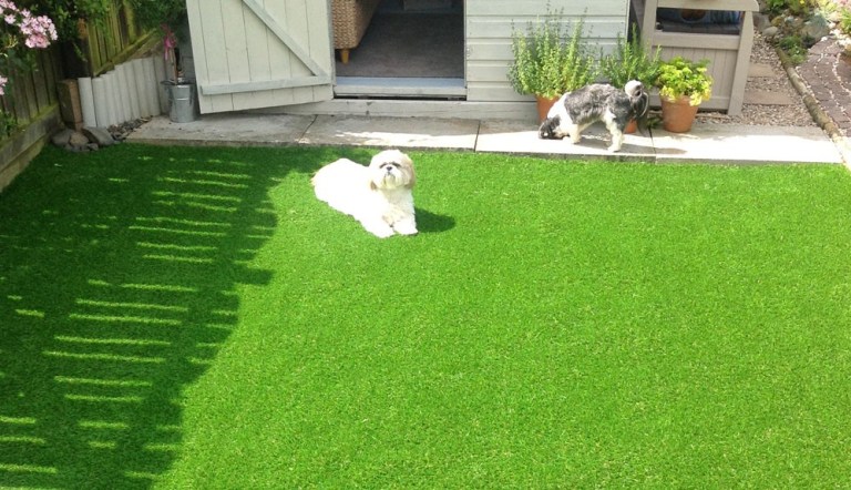 How to Maintain your Artificial Grass