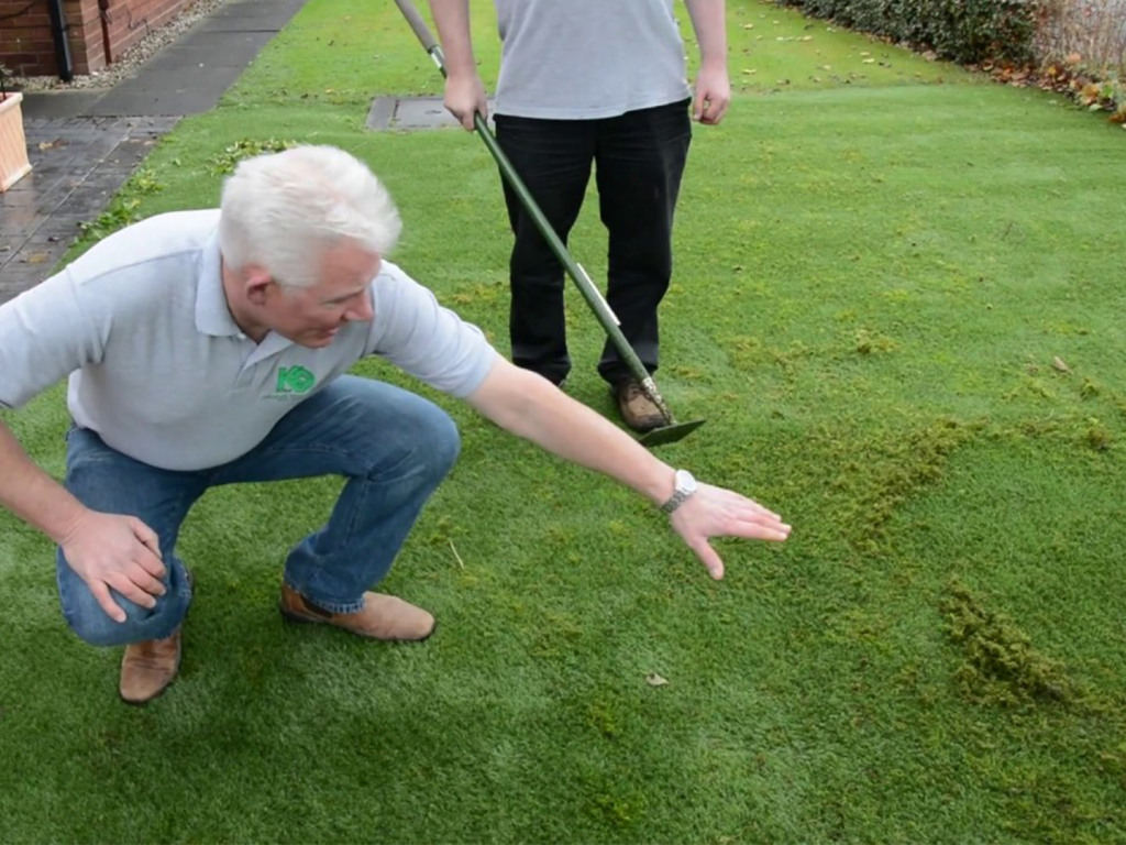 How to Maintain Your Artificial Grass in Autumn