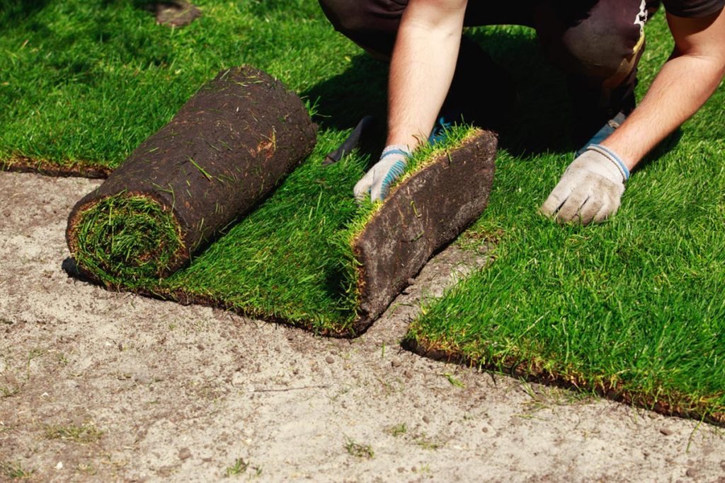 sod-vs-artificial-grass