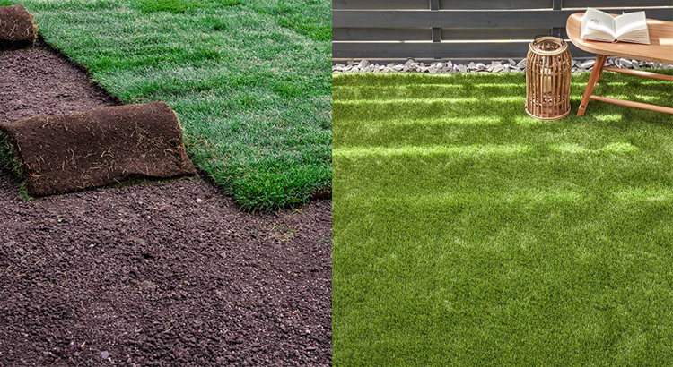 Sod Vs Artificial Grass