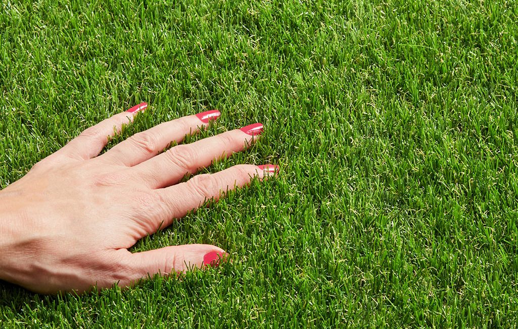 Artificial Grass Remnant Quality