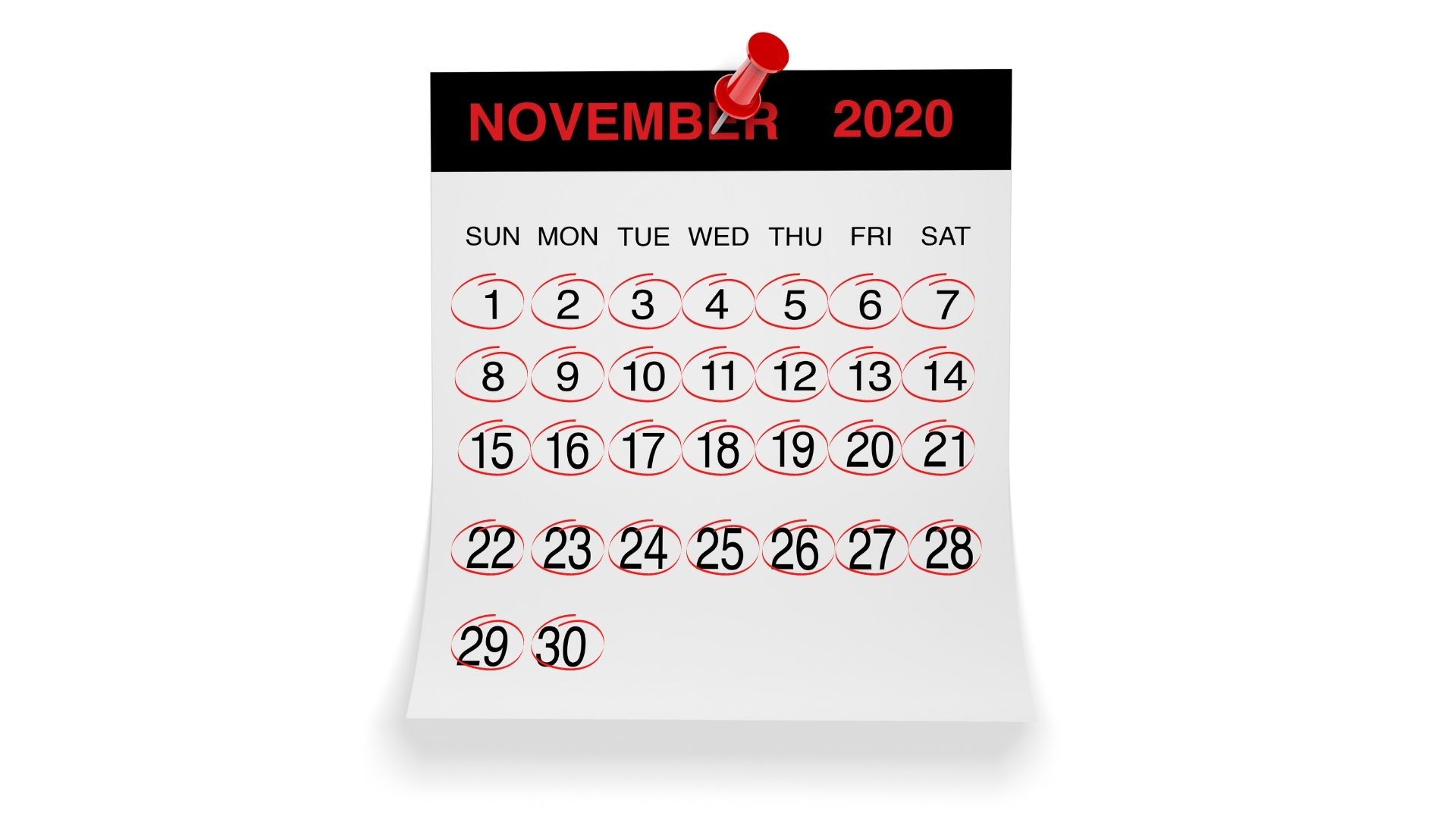 Black November 2020