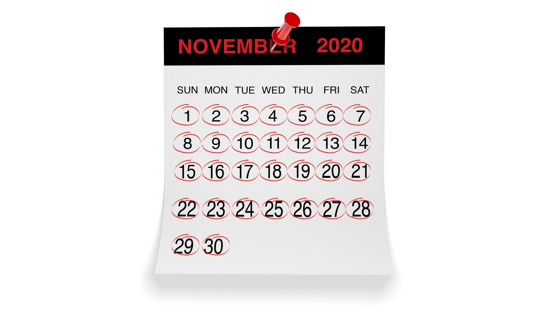 Black November 2020 