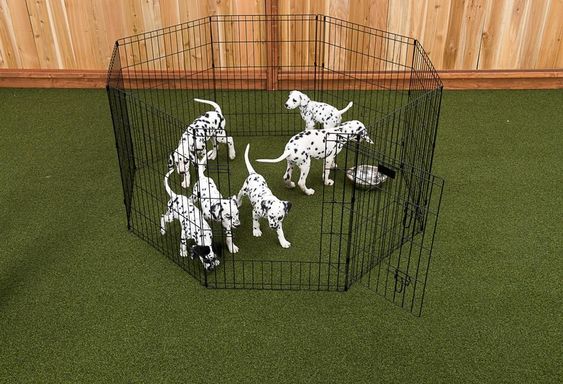 dog play pen design