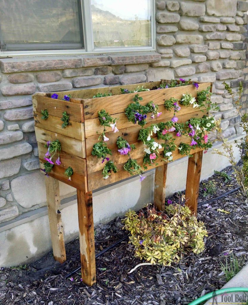Sustainable Gardens