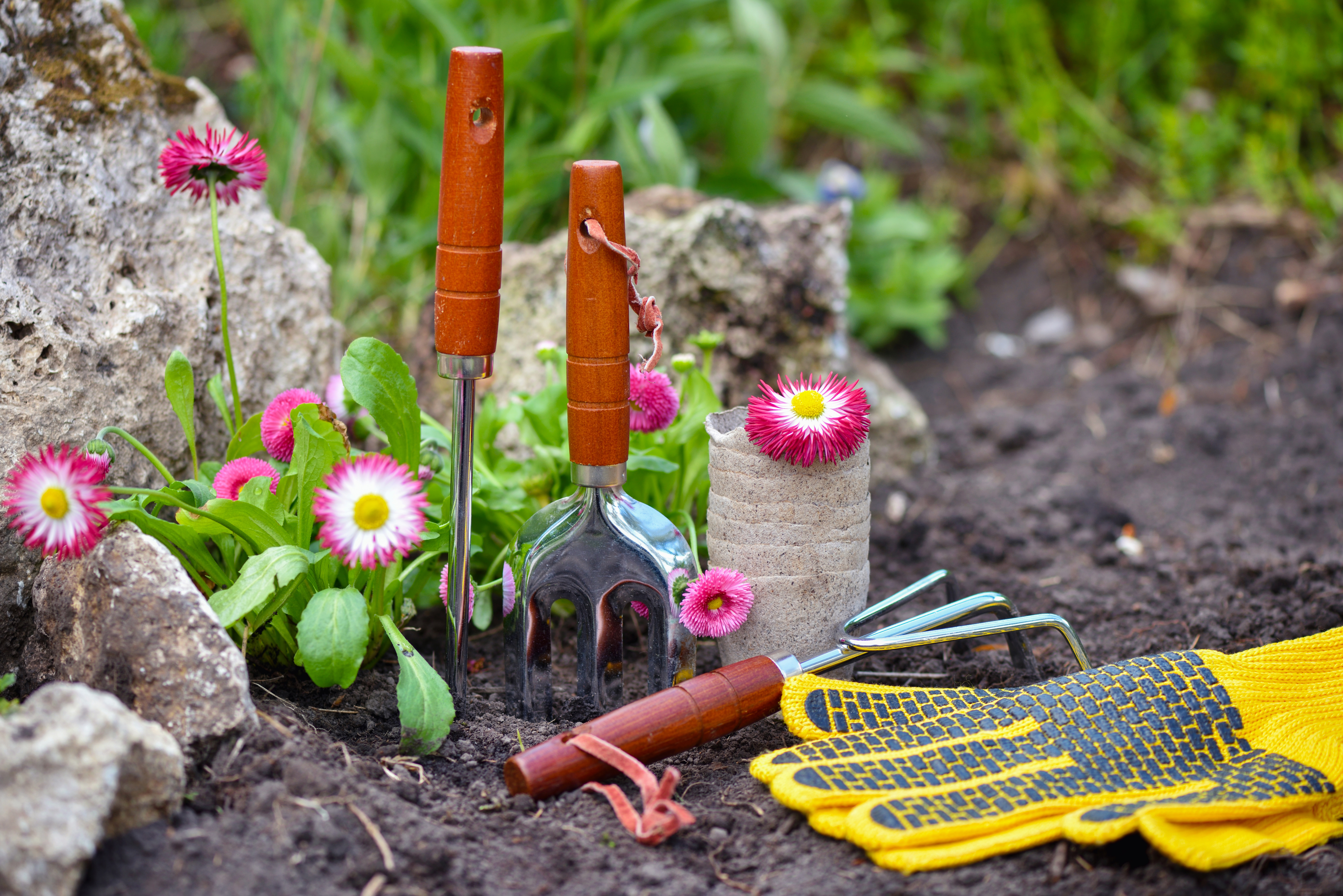 15 Great Gardening Tips For Spring
