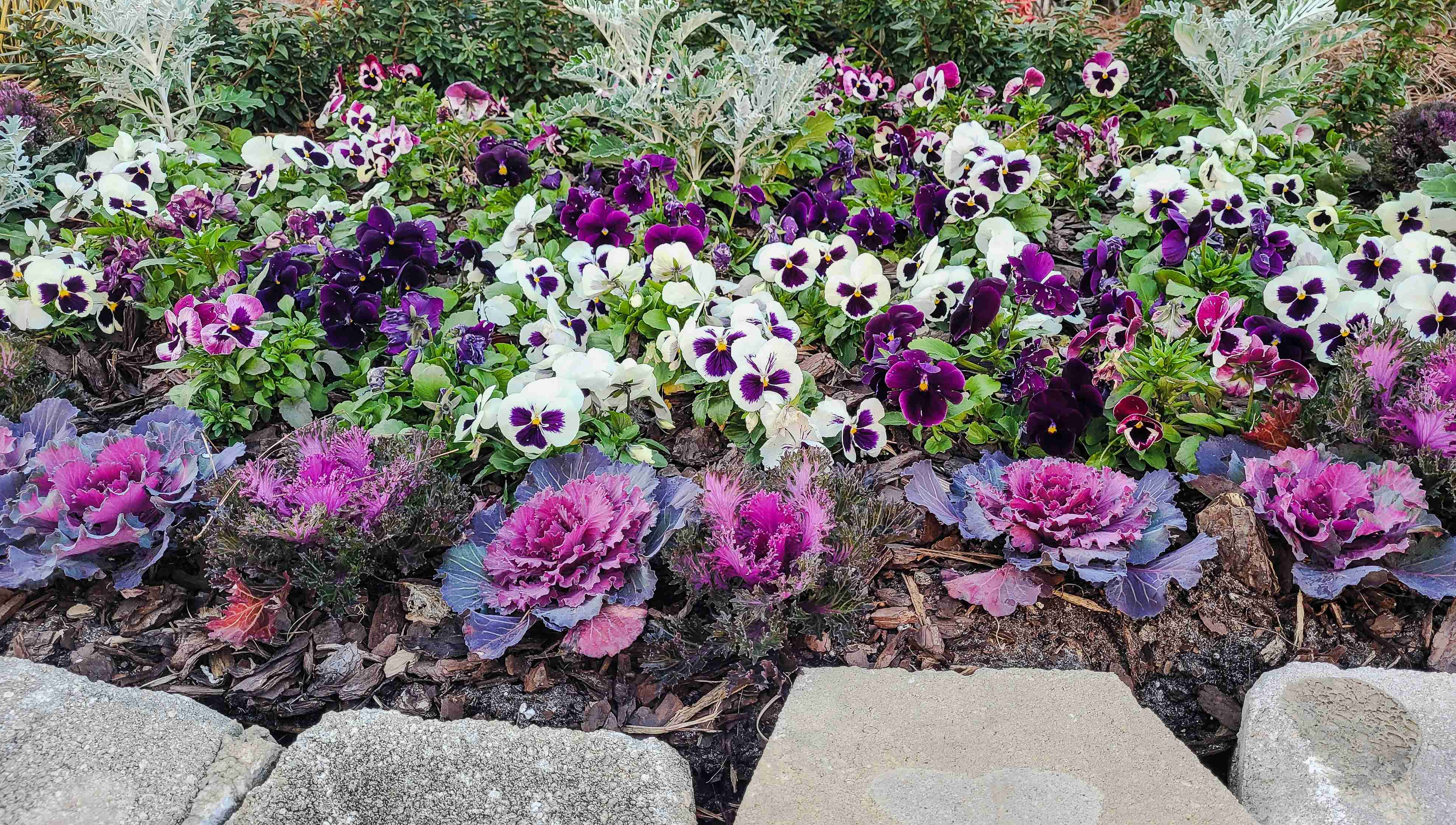 Creating Beautiful Borders In Your Garden