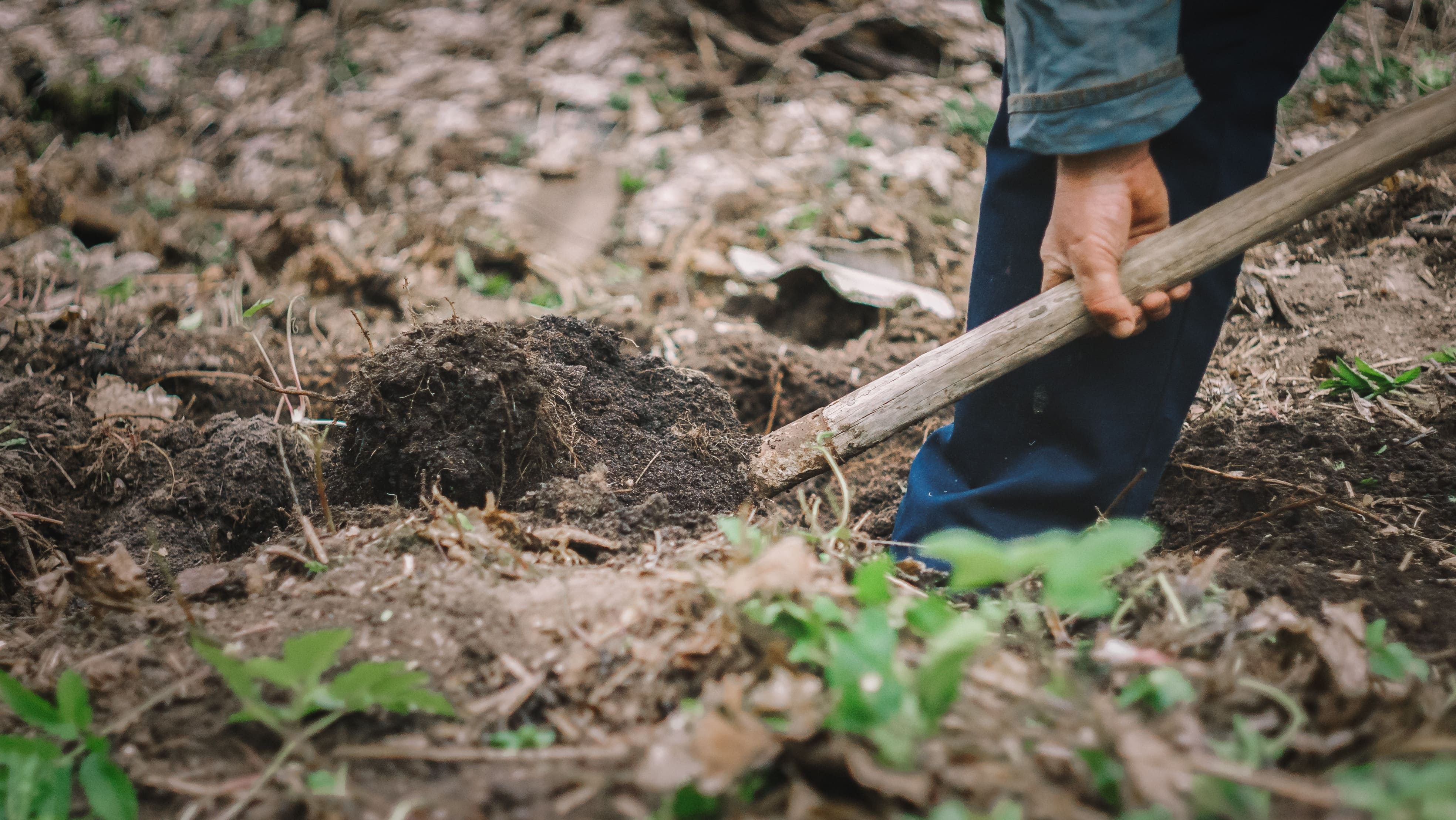 How To Level A Garden Without A Digger