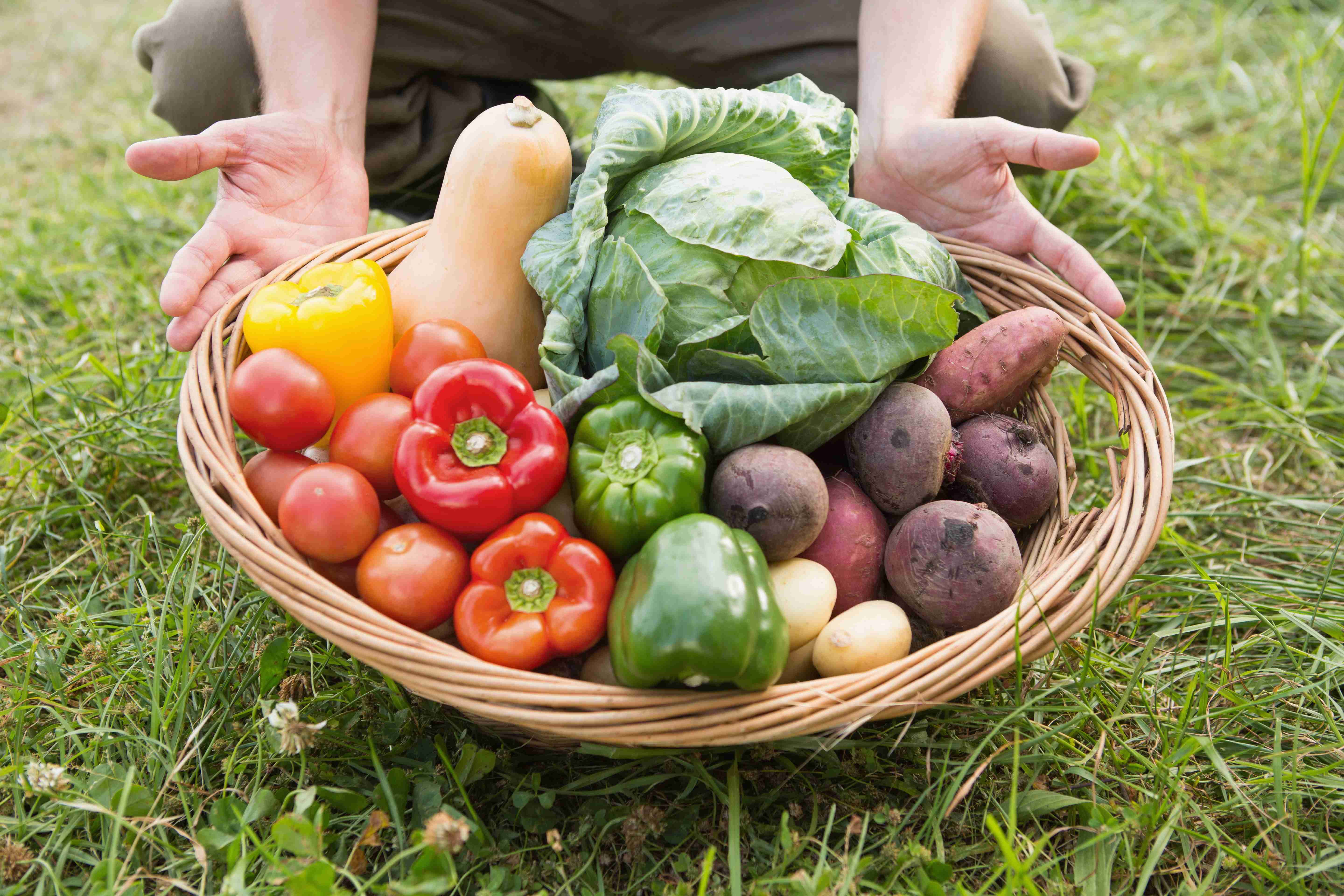 Guide to Growing Vegetables in your Garden