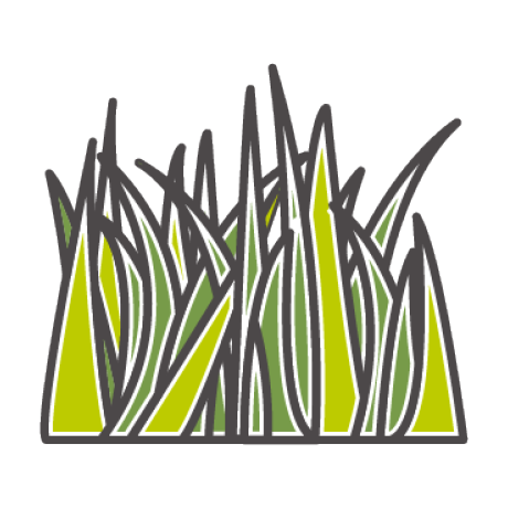 Hollywood Artificial Grass - Descriptive 3