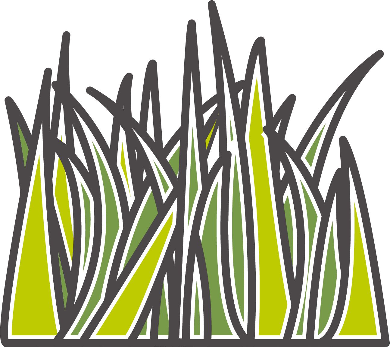 Stellenbosch Artificial Grass - Descriptive 3