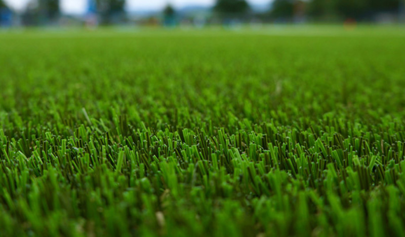 Budget Artificial Grass